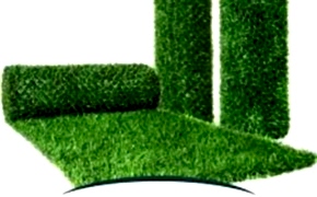 ÇİM ÇİT -2